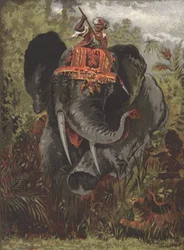 Tiger Hunting in India